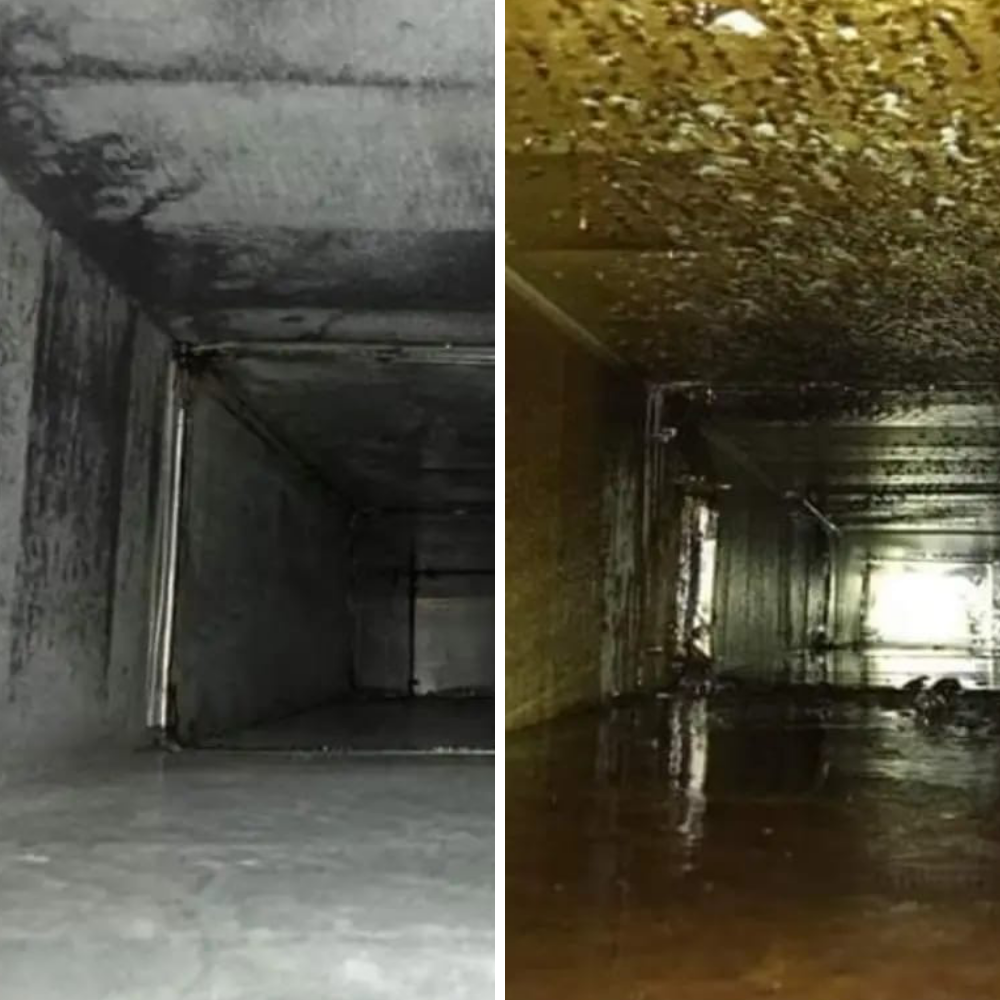 Yağlı Kanal Temizliği